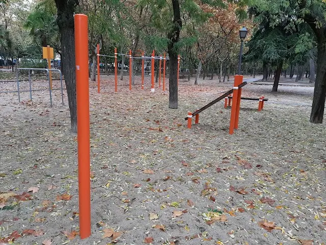 Zona de calistenia