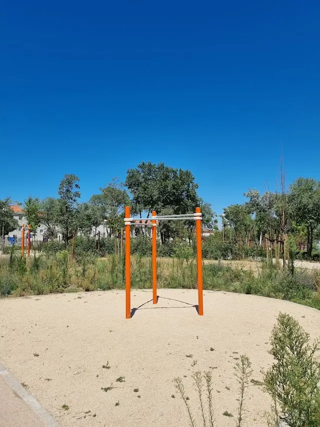 Área de entrenamiento físico y calistenia