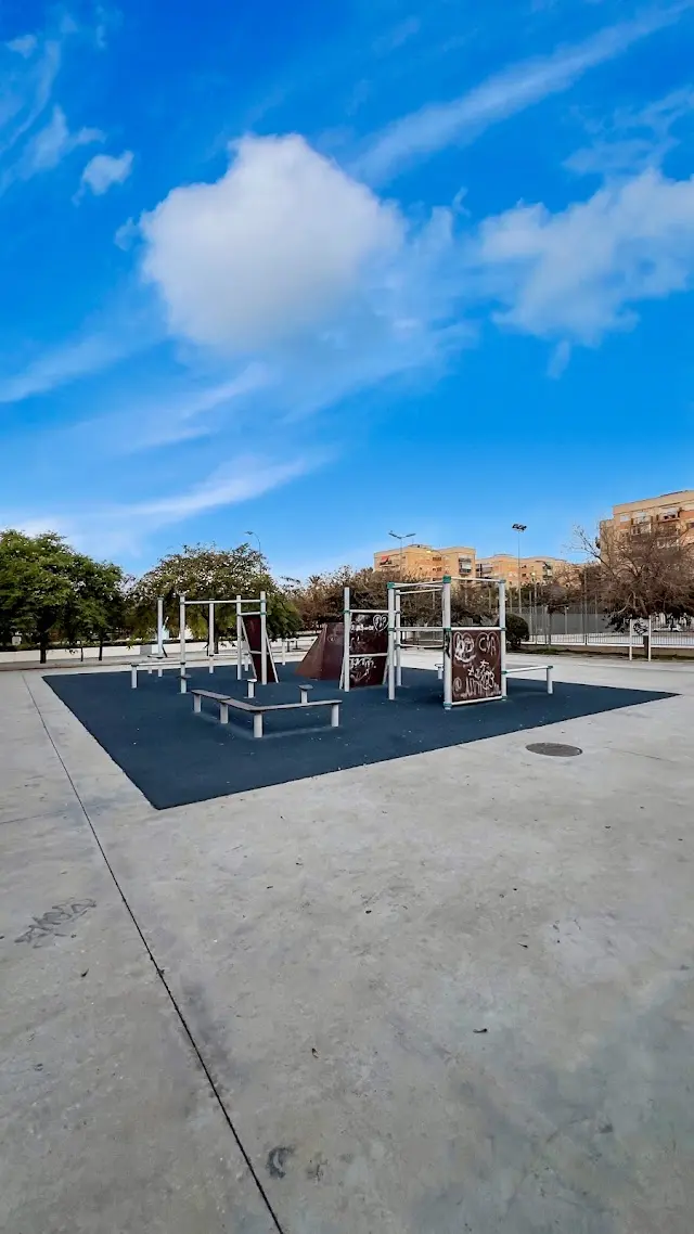 Parque de Calistenia de la Vía Parque
