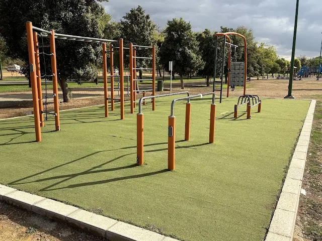 Calistenia Street Workout Triana