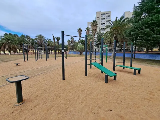Barras de calistenia