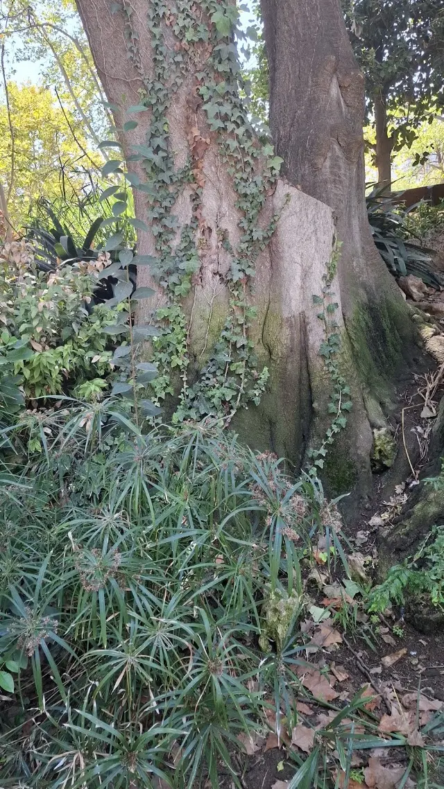 Jardín del Turia - Tramo VI - Parque de Calistenia