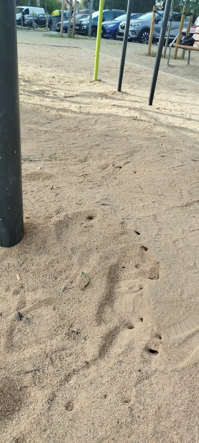 Calistenia street workout