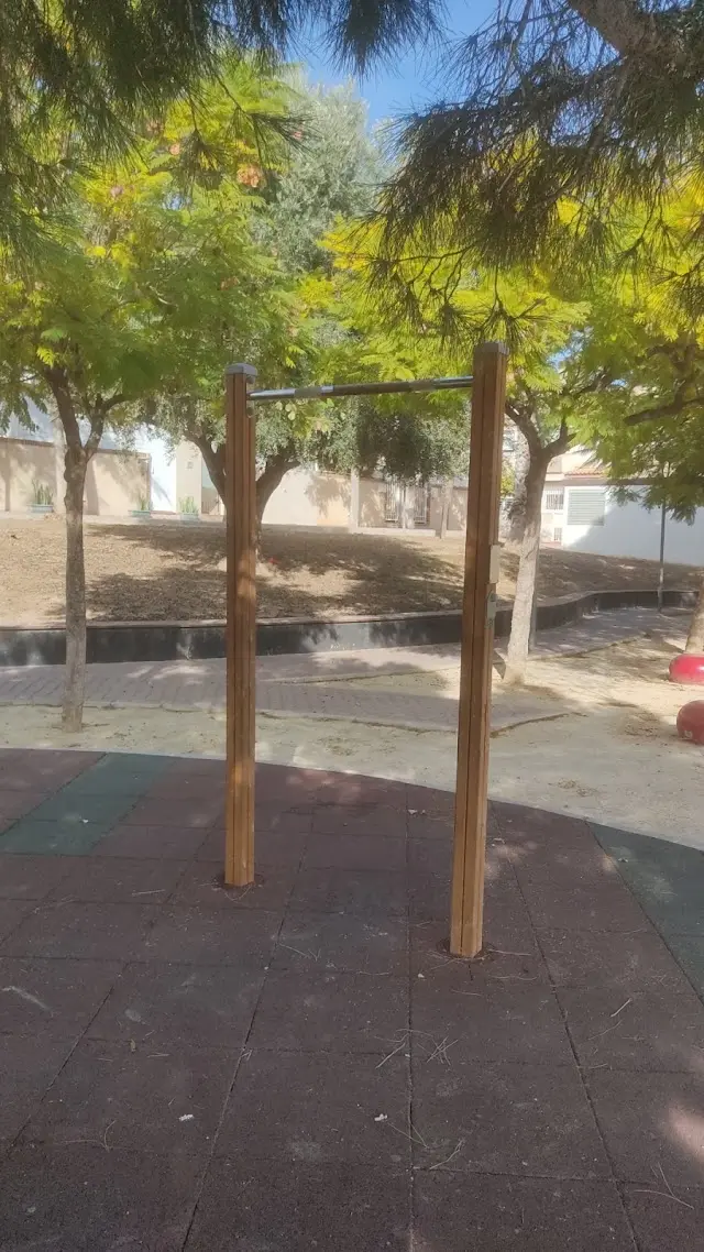 Parque de calistenia