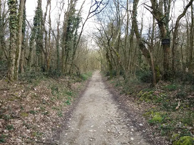 Parcours de santé