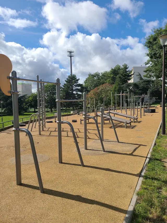 Parc De Street Workout