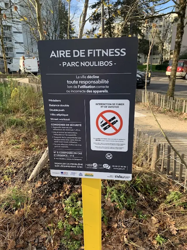 Aire de callisthenics et de fitness
