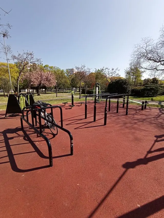 Parc de Street Workout Kennedy