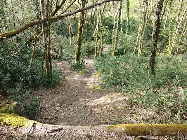 Parcours de Santé