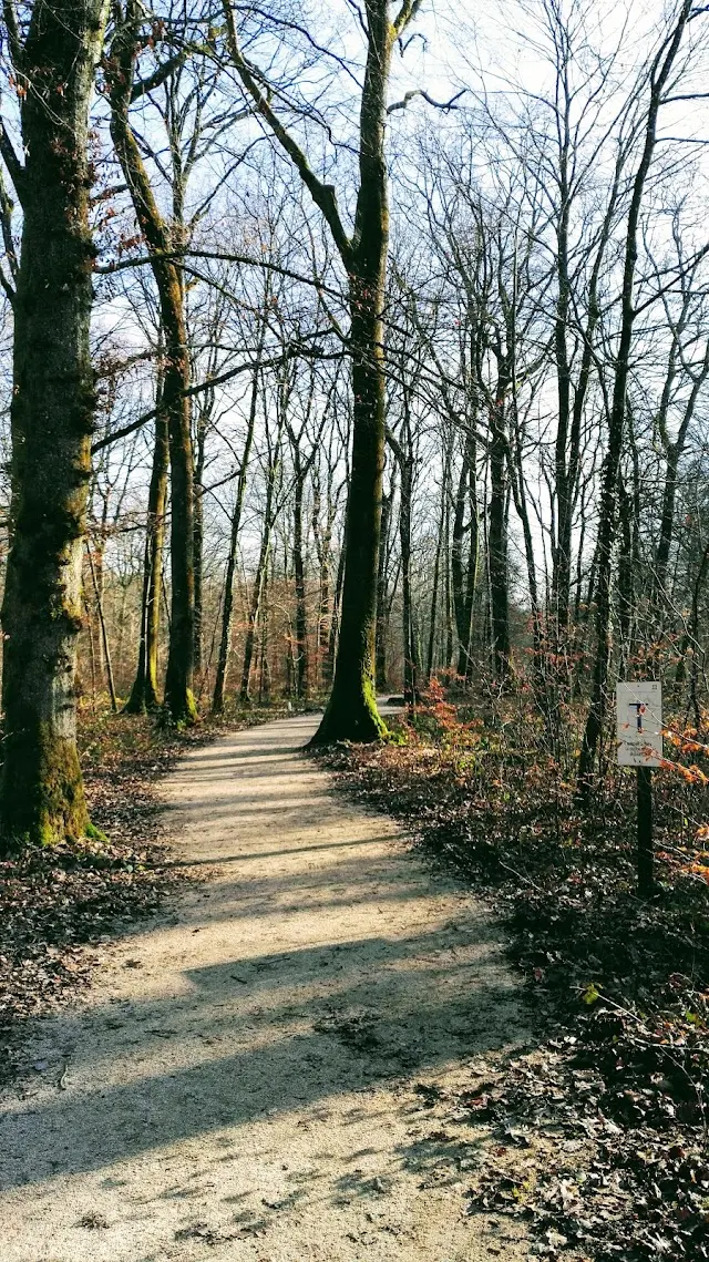 Parcours sportif dolois