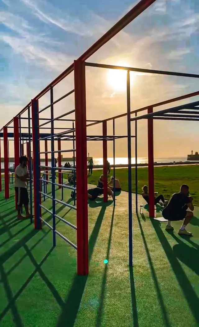 Street workout Calisthenics