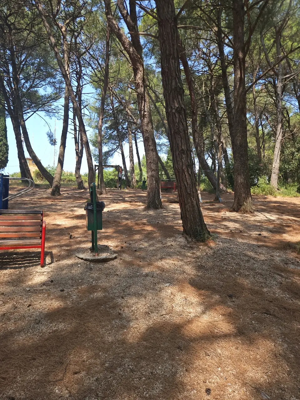Outdoor gym calesthenics