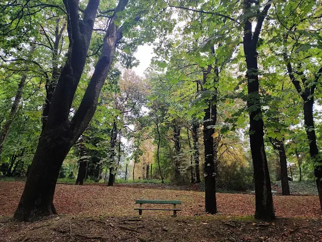 Fitness Park Felnőtteknek