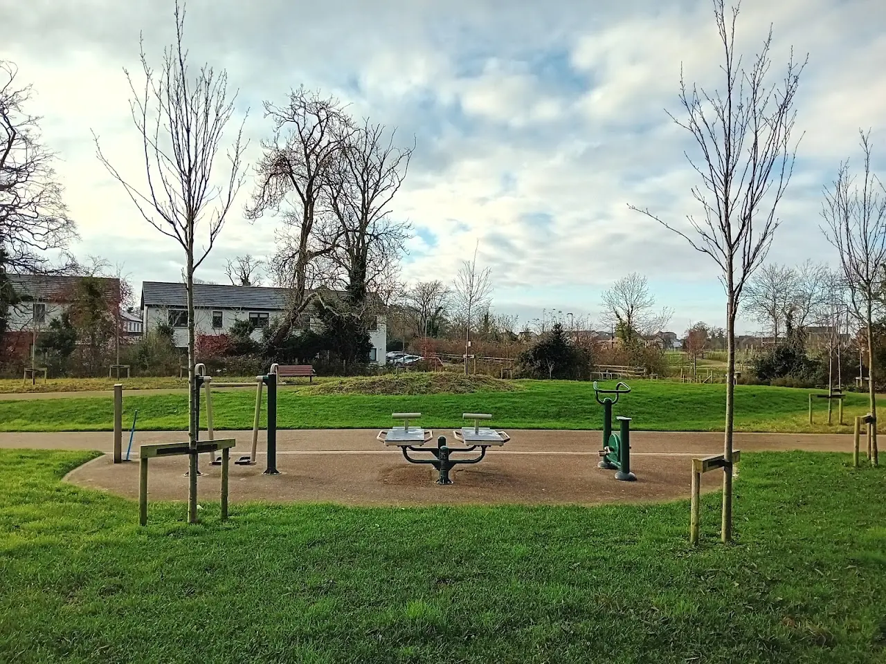 Mini Calisthenics Park