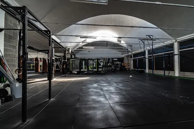 Calisthenics Union Ripamonti - Corsi di calisthenics