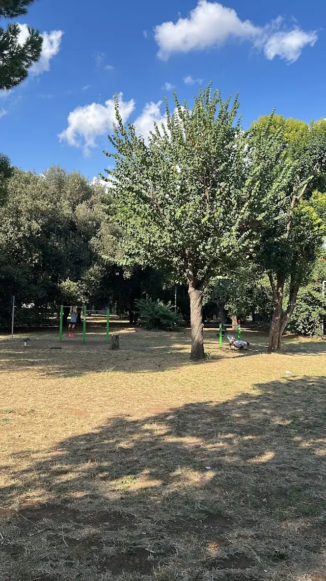 Area Fitness-Sport