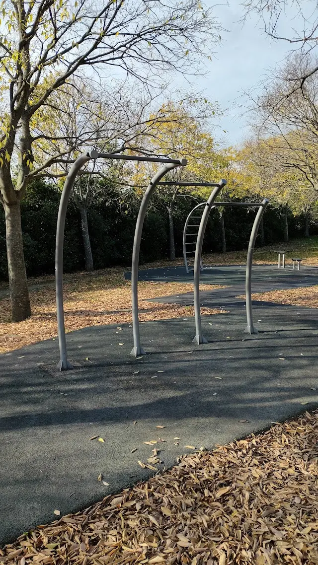 Area Calisthenics Parco della Cittadella
