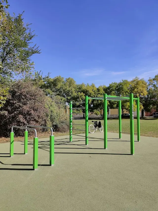 Parco Calisthenics