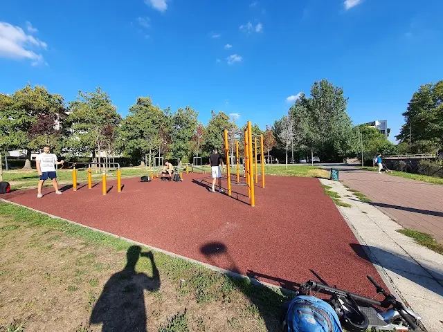Parco Calisthenics Erasmo da Rotterdam