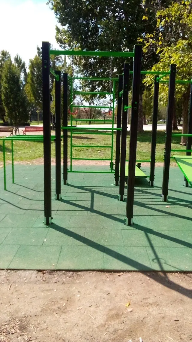 Area attrezzata Skyfitness & Calisthenics