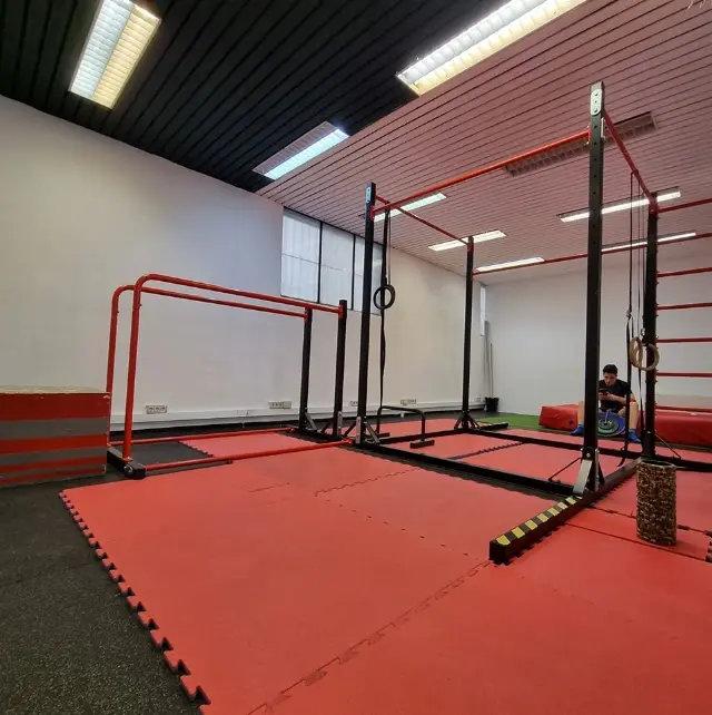 Calisthenics Milano