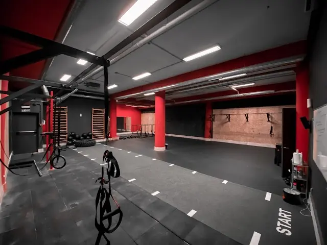 Iron Gym - Calisthenics e Allenamento Funzionale