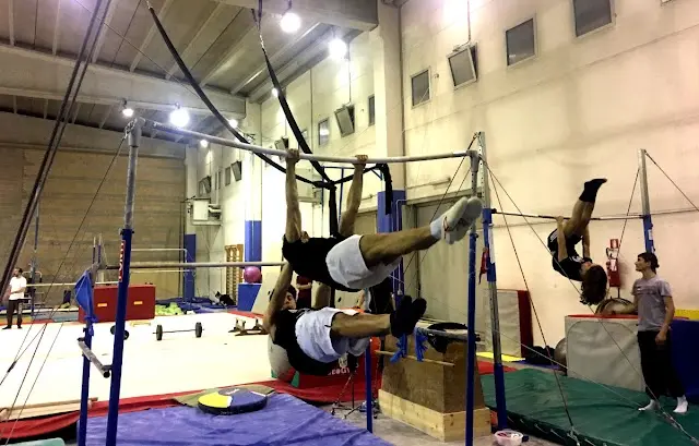 Calisthenics Padova