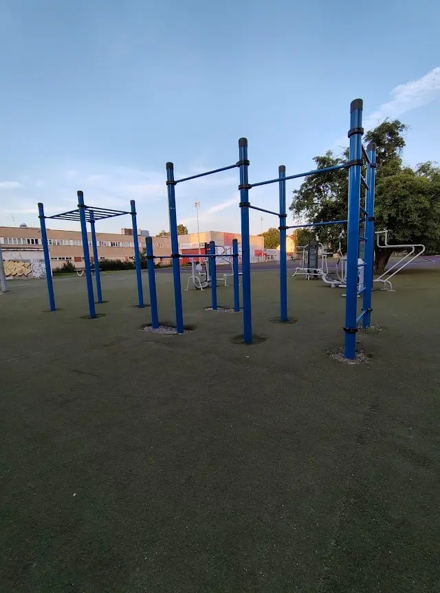 Calisthenics Outdoor Gym