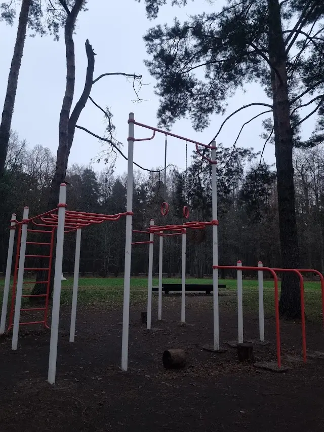 Calisthenics park