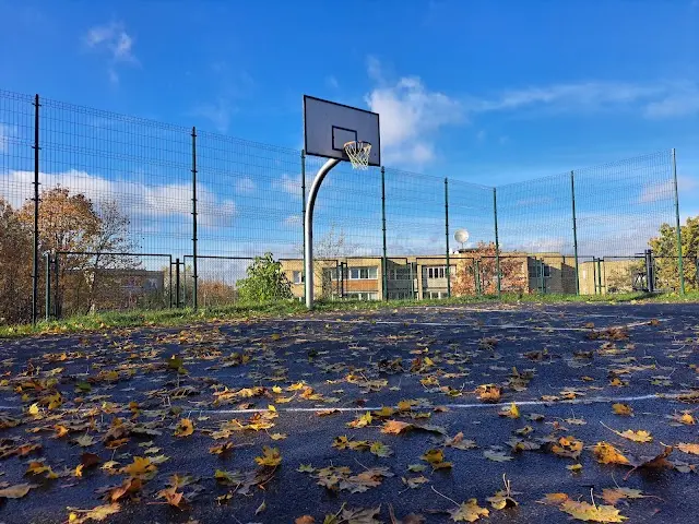 Lauko treniruokliai