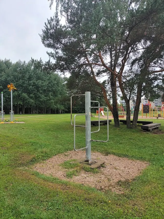 Lauko treniruokliai
