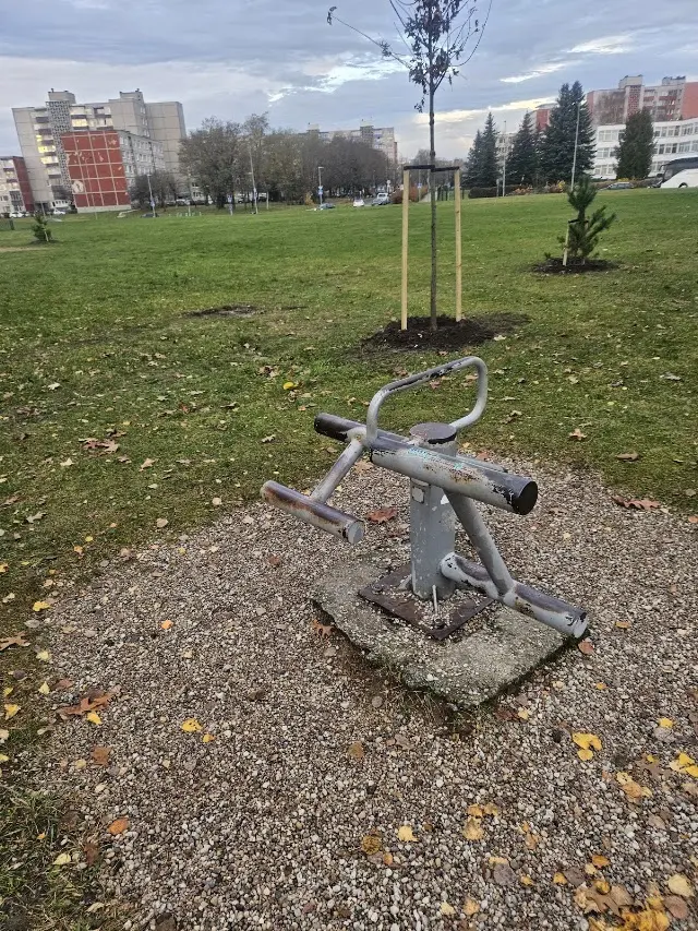 Lauko treniruokliai