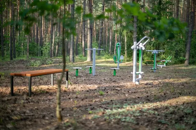 Lauko treniruokliai