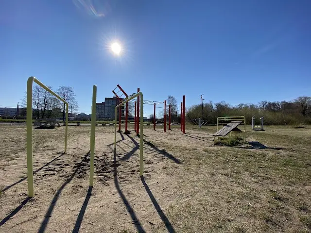 Street Workout Bars