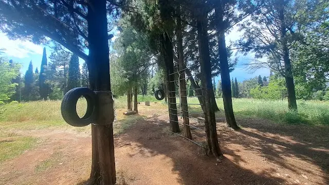 Street Workout