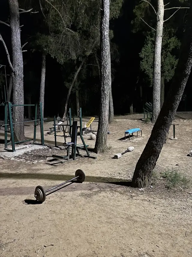 Street workout outdoor calisthenics park