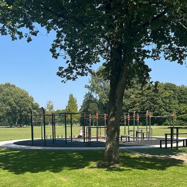 calisthenics