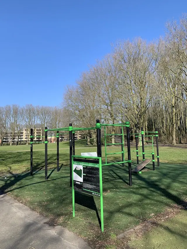 Calisthenicspark
