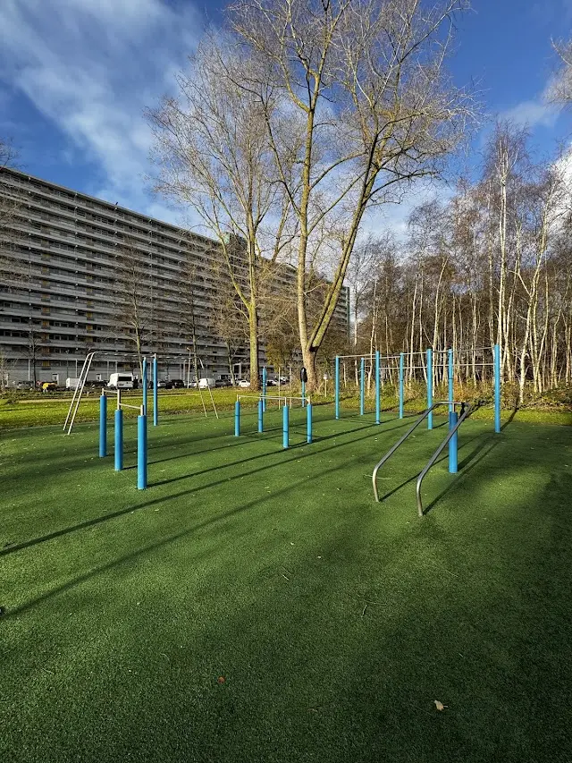 Calisthenics Park Buitenhof