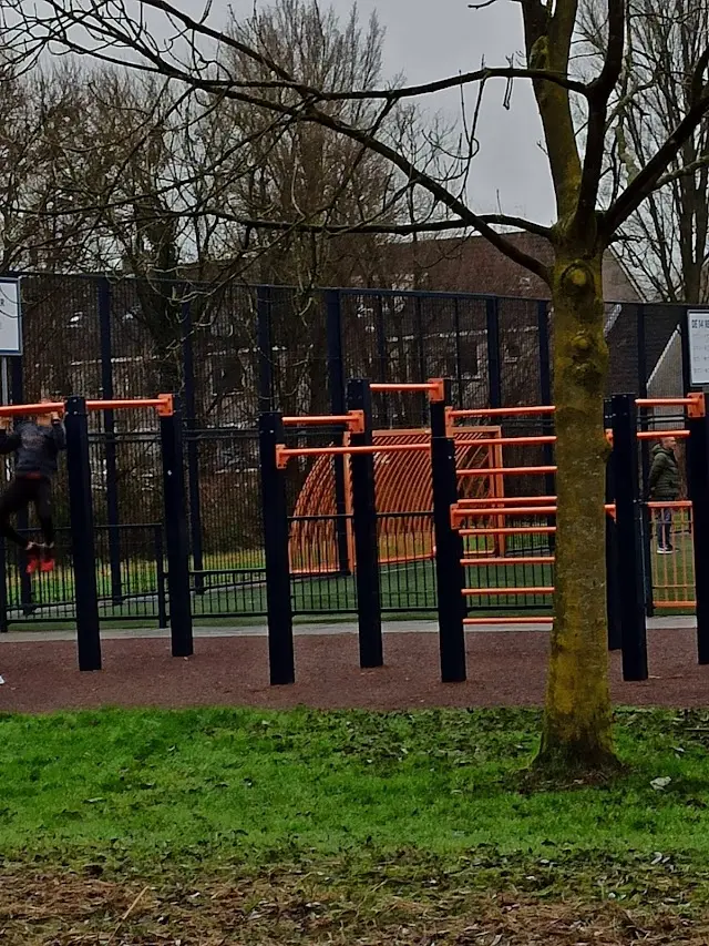 Calisthenics park