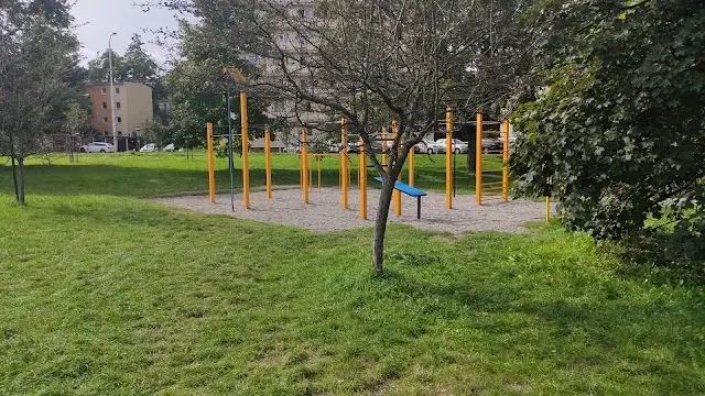 Flowparks Street Workout Park - Park Moczydło