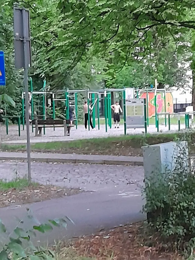 Siłownia kalisteniczna