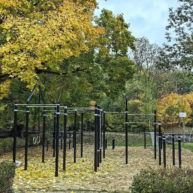 Siłownia plenerowa. Street workout.