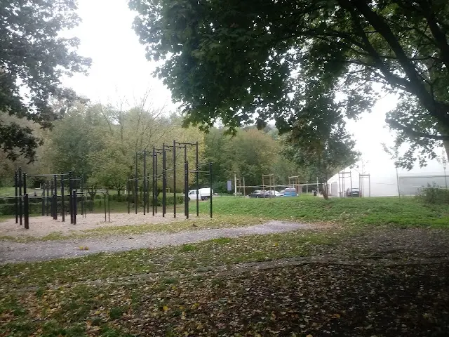Street Workout im. Polskiego Złotego