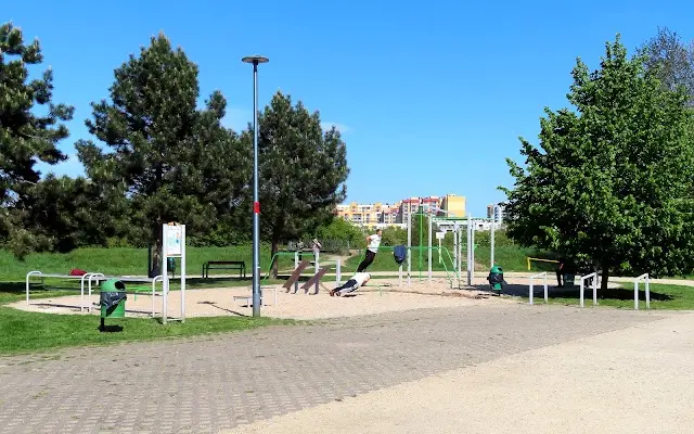 Street workout | Park Tysiąclecia