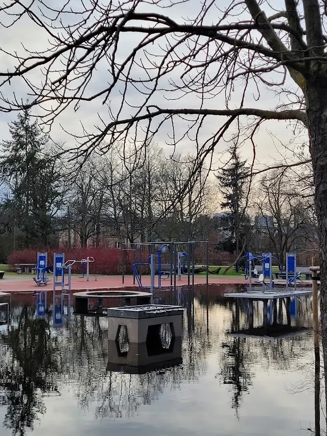 Street Workout / Park Wodziczki