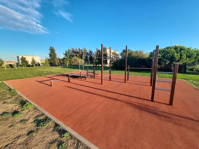 Street Workout Equipment