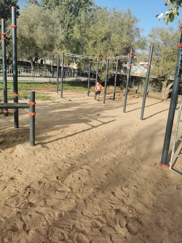 Street Workout Calistenia