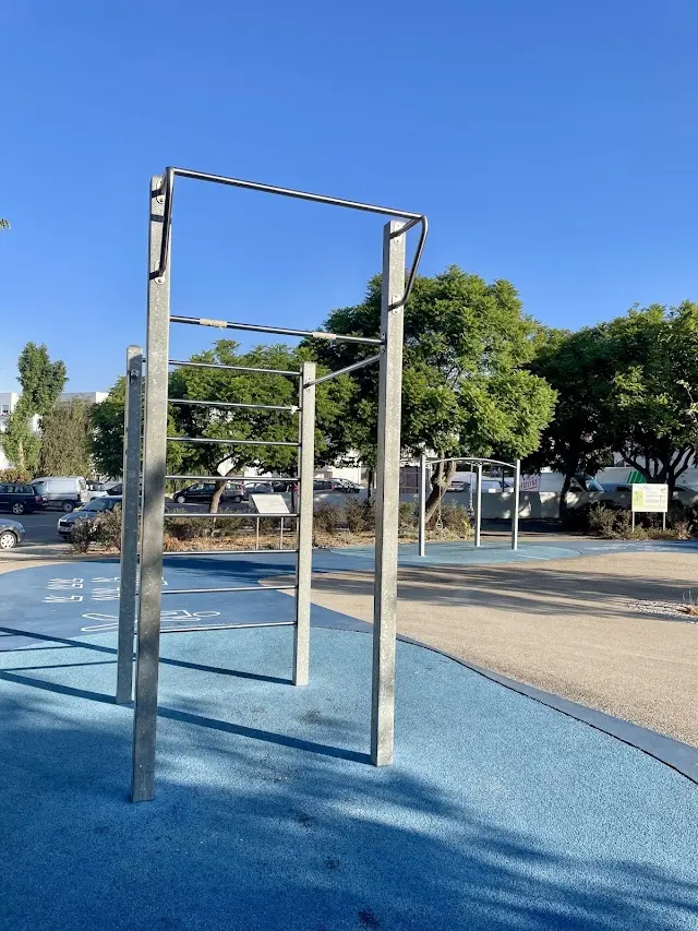 Callisthenics Park