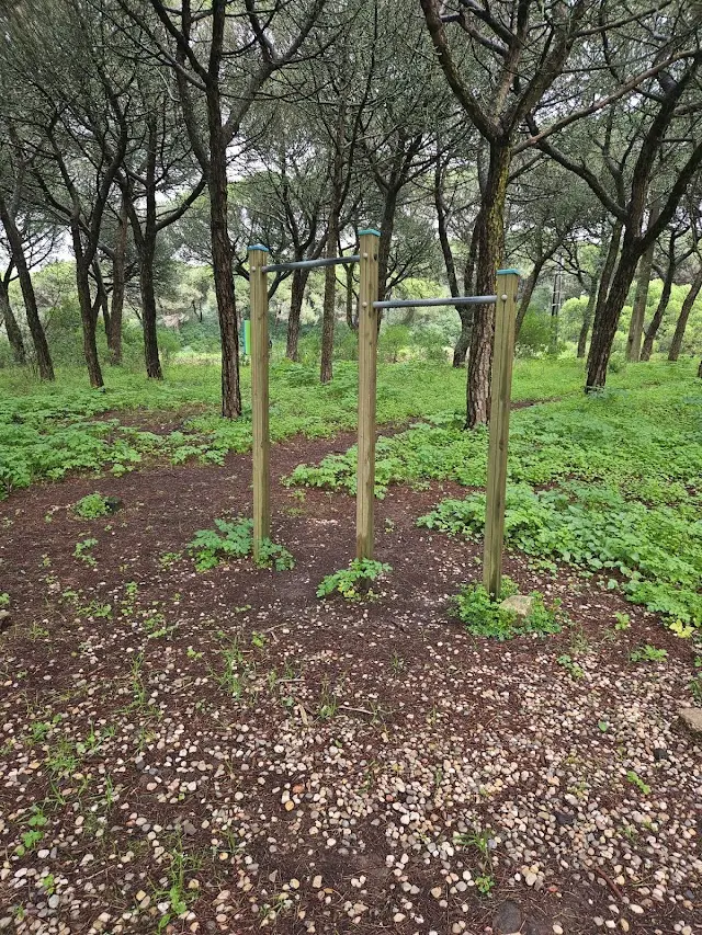 parque Calistenia